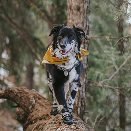 QUMY Dog Shoes for Large Dogs, Medium Dog Boots & Paw Protectors for Winter Snowy Day, Summer Hot Pavement, Water-Resistant in Rainy Weather, Outdoor Walking, Indoor Hardfloors Skid-Resistant Sole — view 5