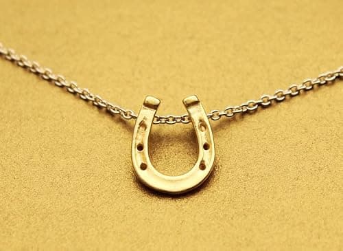 LANG XUAN Good Luck Horseshoe Pendant Friendship Chain Necklace with Meaning Card for Women Silver Gift — view 4