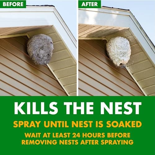 Spectracide Foaming Wasp & Hornet Killer, Blanketing Foam Kills by Contact, 14 Ounces — view 2