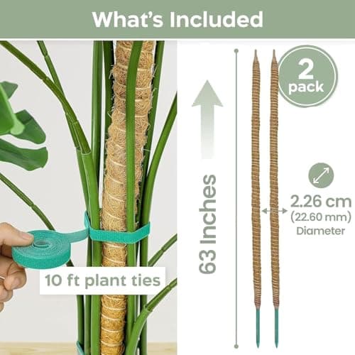 2 Pack 63'' Bendable Moss Pole Monstera Plant Support for Large Climbing Indoor Plants - Stakes for Potted Climbers - Tall Sticks Indoor Trellis for Houseplants - Accessories for Monstera Pot
