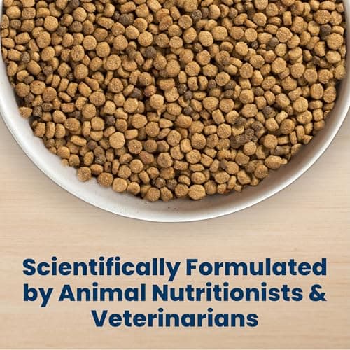 Blue Buffalo Life Protection Formula Chicken & Brown Rice Small Bite Adult Dry Dog Food, Supports Immunity with Antioxidant-Rich LifeSource Bits, Promotes Healthy Muscles, Skin & Coat Health, 15 lbs. — view 5