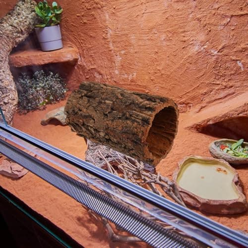 POPETPOP Reptile Hideout Hollow Tree Trunk Log for Tarantula and Reptiles with Natural Wood Material — view 4