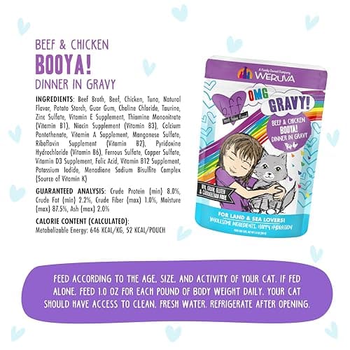 Weruva B.F.F. OMG - Best Feline Friend Oh My Gravy!, Booya! Beef & Chicken in Gravy Cat Food, 2.8oz Pouch (Pack of 12) — view 3