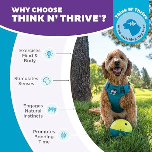 Outward Hound by Nina Ottosson Treat Tumble Interactive Puzzle Ball Dog Toy, Level 1 Beginner, Blue, Small — view 5