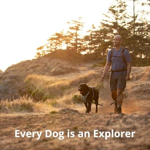 Ruffwear, Front Range Dog Harness, Reflective Soft Padded Everyday Harness with Dual Leash Clips, Adjustable and Lightweight Fit for Training or Walking for All Dogs, Coastal Mountains, Medium — view 8