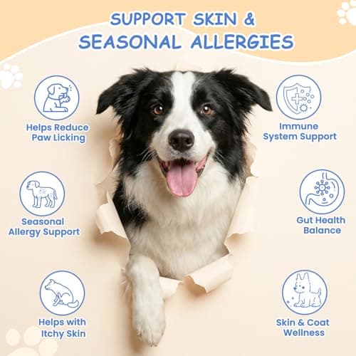 wonmore Dog Allergy Chews, Itchy Skin & Paw Licking Support, Probiotics for Dogs, Immune & Gut Health, Seasonal Allergy Formula, Skin & Coat Health, Chicken Flavor Soft Chews, 200 Ct, BlueRed