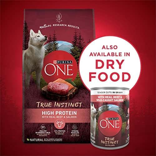 Purina ONE High Protein Wet Dog Food True Instinct Tender Cuts in Dog Food Gravy With Real Beef and Wild-Caught Salmon - (Pack of 12) 13 oz. Cans — view 6