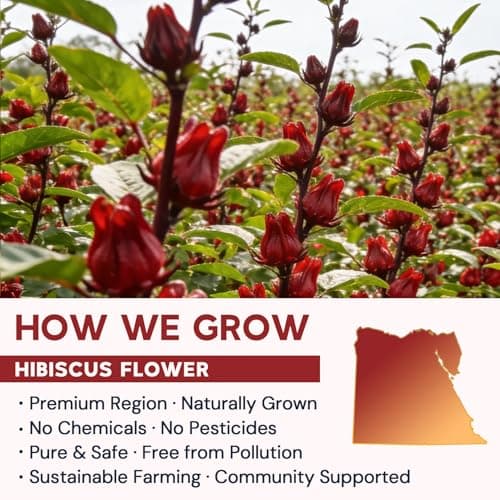 Hibiscus Tea Bags, Hibiscus Flower Herbal Tea - Caffeine & Sugar Free, 120 Teabags — view 3