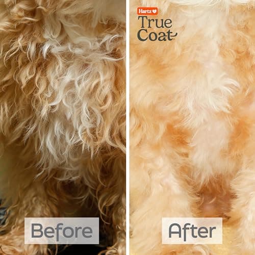 True Coat Curly or Wavy Dog Shampoo, 5 in 1 Detangles & Conditions with Oat Milk, Coconut Oil & Shea Butter, 16 oz — view 4