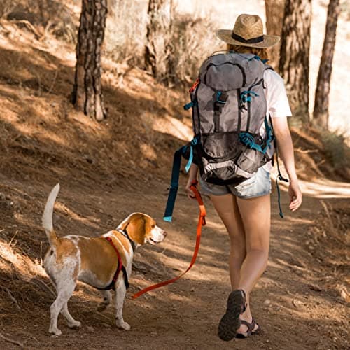 Viper K9 Biothane Working Dog Leash Waterproof Lead for Tracking Training Schutzhund Dog Sport & Search - Odor-Proof Long Line with Solid Brass Snap for Puppy Medium and Large 3/4" x 10ft HunterOrange — view 4