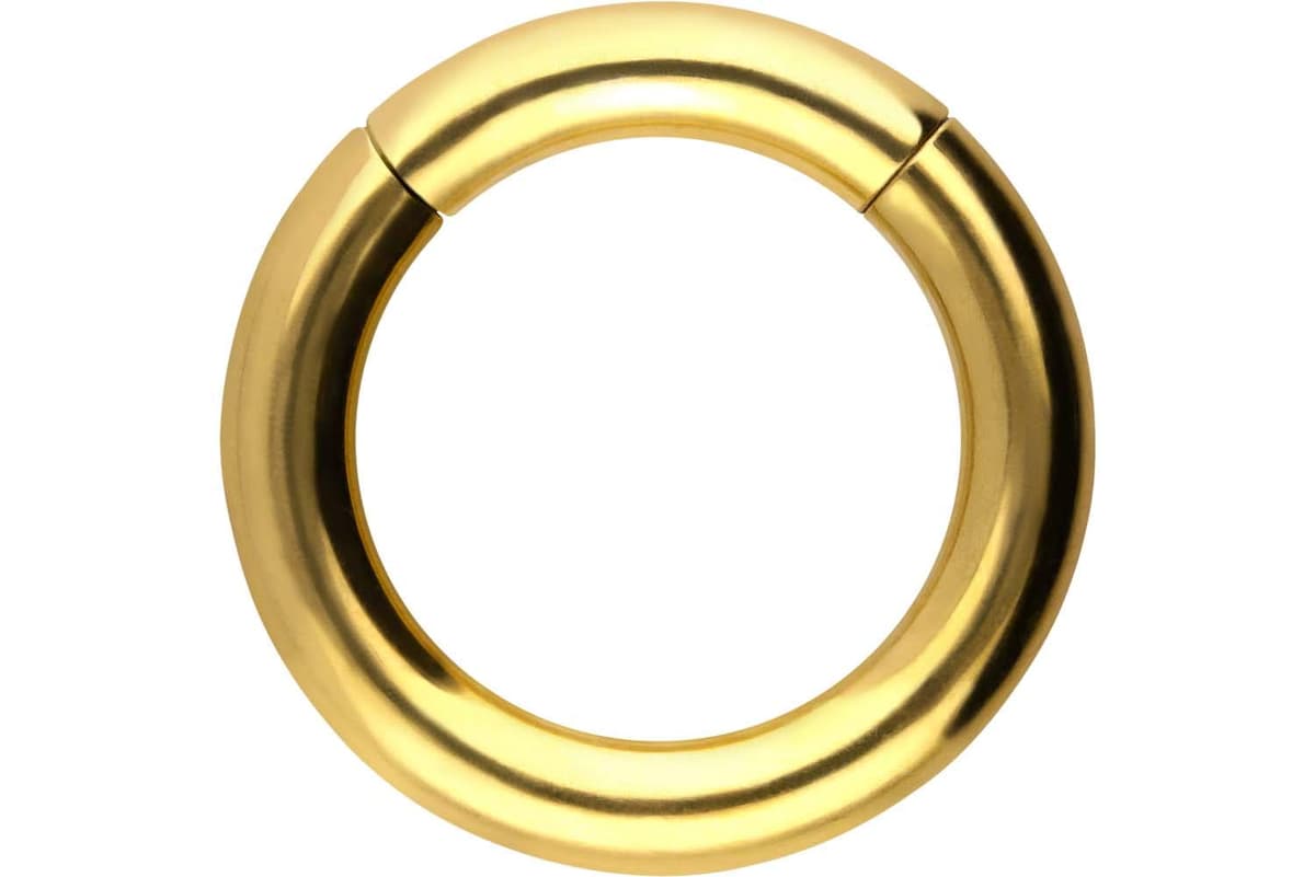 PIERCINGLINE Anillo segmento Clicker de acero quirúrgico – Piercing en oro, plata, rosa, negro o azul – para nariz, tabique, oreja, hélice o tragus — view 57
