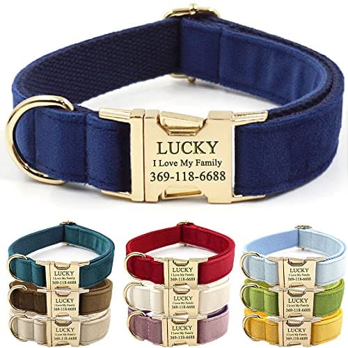 PETDURO Custom Dog Collar Personalized with Name Engraved Gold Metal Buckle for Large Medium Small Boy and Girl Dogs - Dog Leash and Bow Tie Set Available - Soft Comfy Velvet (Dark Blue, S)