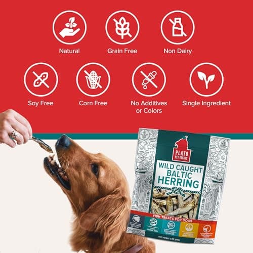 Plato Pet Treats Fish Dog Treats - Air-Dried, Single Ingredient Pet Treat - Omega 3 & 6 Fatty Acids to Support Skin and Coat - 100% Whole Fish - Wild Caught Baltic Herring - 3oz - 2 Pack — view 5