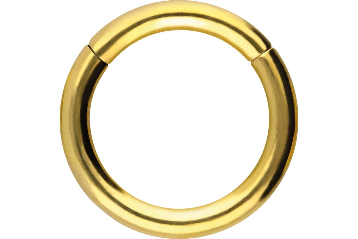 PIERCINGLINE Anillo segmento Clicker de acero quirúrgico – Piercing en oro, plata, rosa, negro o azul – para nariz, tabique, oreja, hélice o tragus — view 68
