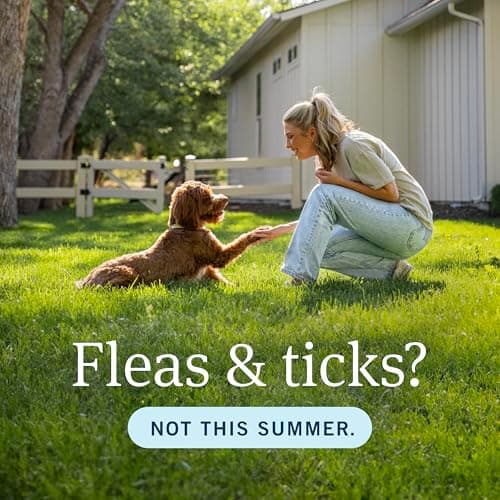 PetArmor Plus Flea and Tick Prevention for Dogs, Small Dog Flea and Tick Treatment, 3 Doses, Waterproof Topical, Fast Acting (5-22 lbs) — view 8