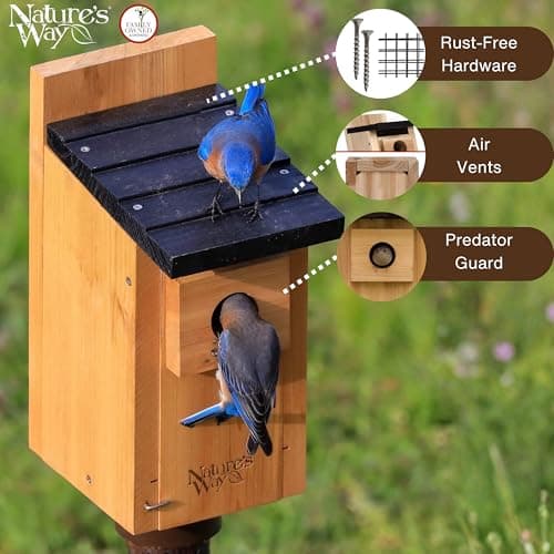 Wild Wings WWCH3 Cedar Blue Bird Box House — view 2