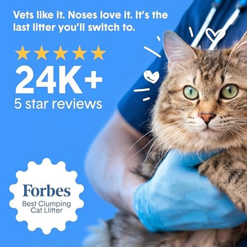 Boxie Probiotic Clumping Cat Litter 40+ Day Odor Control Dust Free 28 lb — view 6