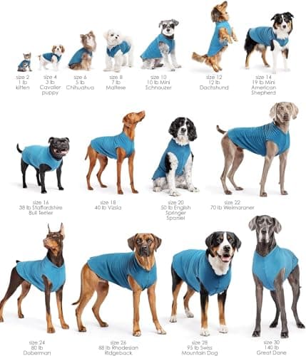 Goldpaw Stretch Fleece Dog Sweater - with Spandex for 4-Way Stretch - Soft, Comfortable Dog Coat - Machine Washable - Made in the USA - Paprika - Size 12