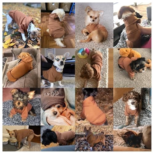 Jecikelon Soft Dog Hoodies for Small Dogs, Fleece Puppy Sweatshirt with Pockets, Warm Winter Cold Weather Coats for Pet Cat, Cute Clothes Puppy Costume (Coffee, Small) — view 3