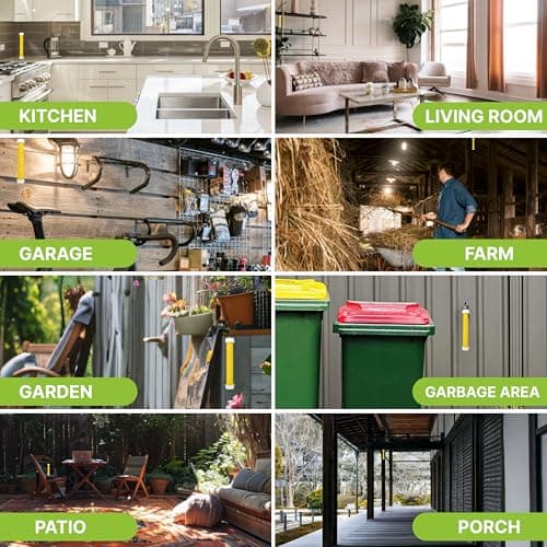 Trappify Hanging Fly Traps Outdoor: Fruit Fly Traps for Indoors | Fly Catcher, Gnat, Mosquito, & Flying Insect Catchers for Inside Home - Disposable Sticky Fly Trap for Indoor House Pest Control (2) — view 2