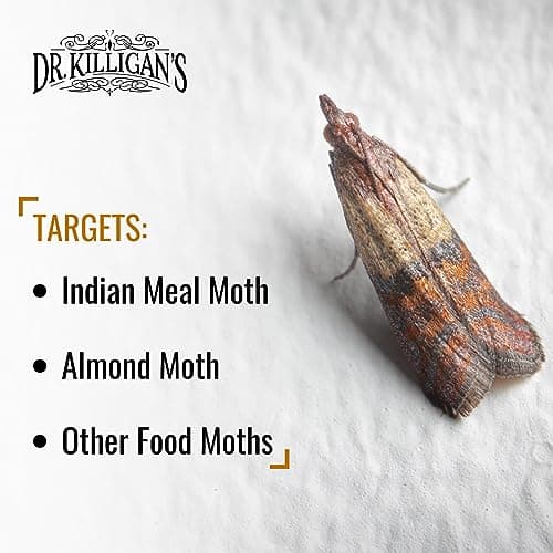 Dr. Killigan's Premium Double Potent Pantry Moth Traps with Pheromones Prime, Sticky Indian Meal Moth Traps for Kitchen, How to Get Rid of Moths in House (6 Pack, Black) — view 3