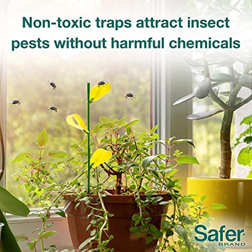 Safer's 07-2122CAN Houseplant Sticky Stake Insect Traps for Indoor Plants - Controls Fungus Gnats, Whiteflies, Midges, Thrips, Fruit Flies, and Black Flies - 12 Traps — view 2