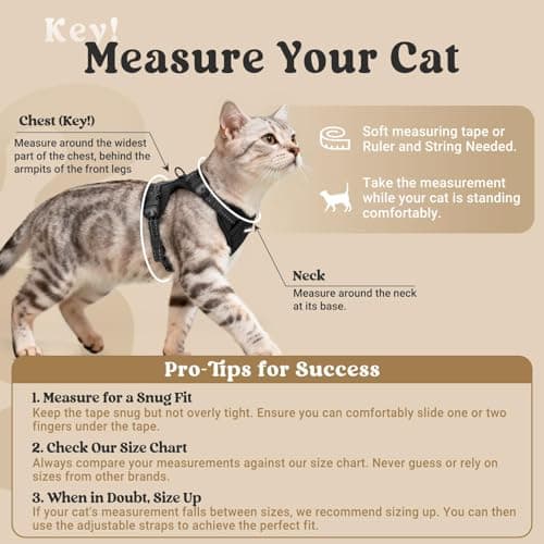 rabbitgoo Cat Harness and Leash, Easy-on with Neck Buckle, Black