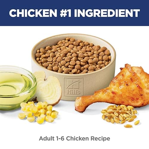 Hill's Science Diet Adult Chicken Recipe Dry Cat Food 3.17 kg Bag — view 3