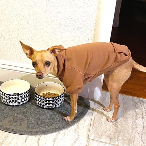 Jecikelon Soft Dog Hoodies for Small Dogs, Fleece Puppy Sweatshirt with Pockets, Warm Winter Cold Weather Coats for Pet Cat, Cute Clothes Puppy Costume (Coffee, Small) — view 2