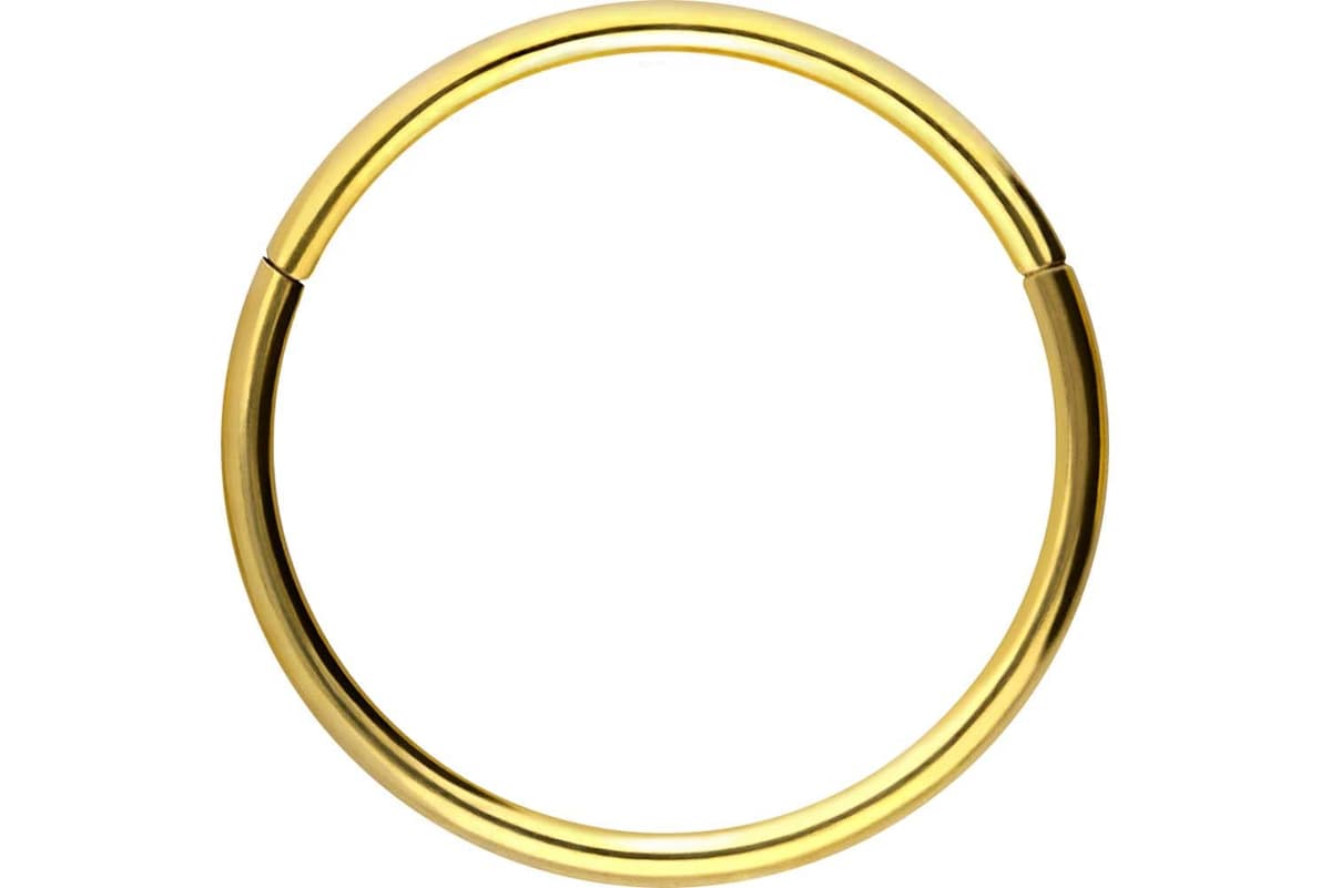 PIERCINGLINE Anillo segmento Clicker de acero quirúrgico – Piercing en oro, plata, rosa, negro o azul – para nariz, tabique, oreja, hélice o tragus — view 59