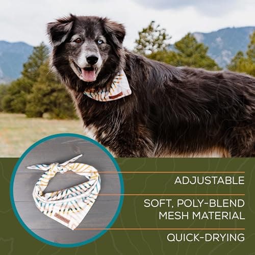Wilderdog Dog Bandana with Lightweight Quick Drying Poly-Blend Mesh Material in Cowpoke — view 3