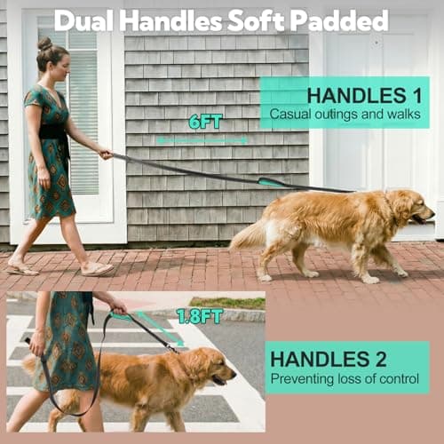 Dual-Handle Dog Leash 6FT, Heavy Duty Nylon with Reflective Threads,Black