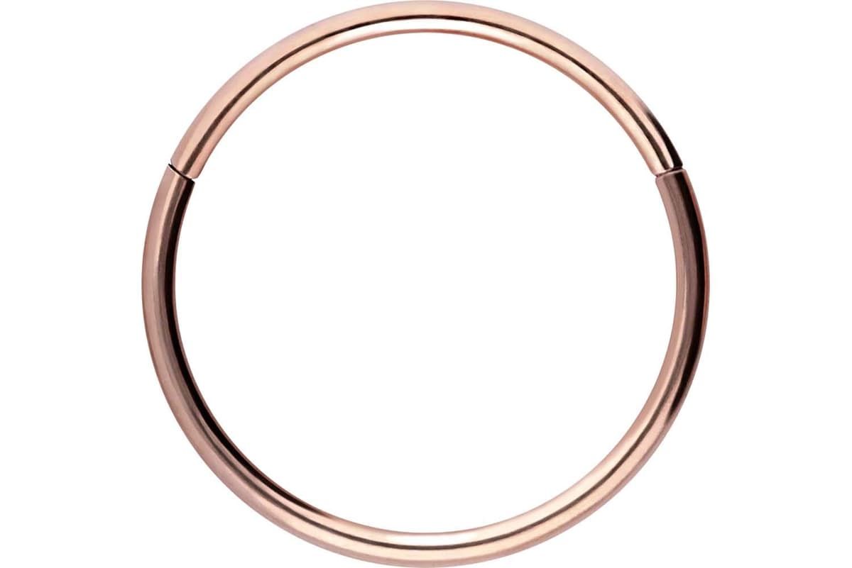 PIERCINGLINE Anillo segmento Clicker de acero quirúrgico – Piercing en oro, plata, rosa, negro o azul – para nariz, tabique, oreja, hélice o tragus — view 23