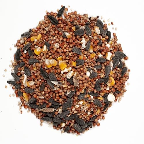 Wagner's 53002 Farmer's Delight Wild Bird Food with Cherry Flavor, 10-Pound Bag — view 2