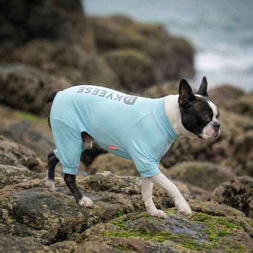 KYEESE UV Protection Dog Shirt, UPF 50+ Cooling Summer Jumpsuit for Small Dogs, Breathable Reflective Shedding Control Dog Sun Shirts, Quick-Dry Dogs Onesie Puppy Clothes, Blue, S — view 6