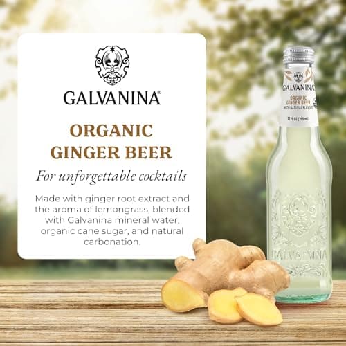 Galvanina Ginger Beer – Premium Organic Italian Sparkling Soda, 12 fl oz Glass Bottle (Pack of 1) | Bold Ginger Bite, Ideal for Mules & Mixology. — view 2