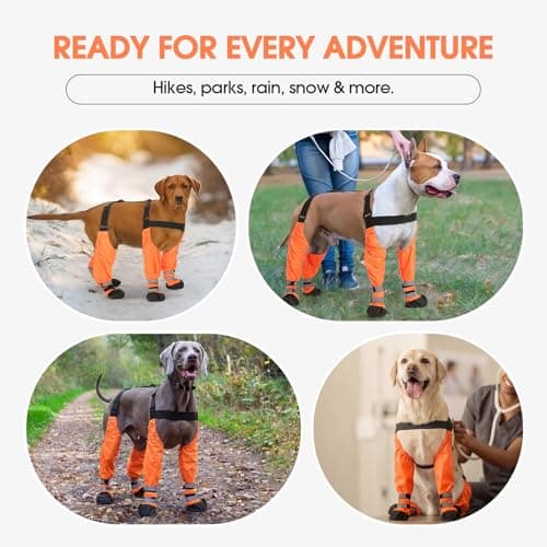Pezluxe Dog Suspender Boots, Waterproof Anti-Slip Dog Rain Boots with Adjustable Strap for Small Medium Large Dogs, Reflective Dog Shoes with Suspenders for Outdoor Walking,Rain Snow Hiking, Orange,L — view 7