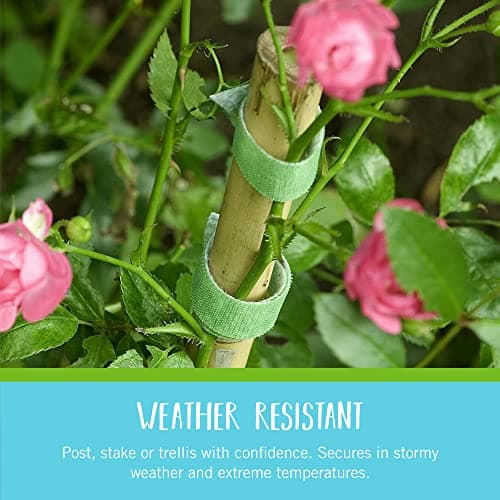 VELCRO Brand Adjustable Plant Ties | 75 ft x 1/2 in Green Garden Tape | Reusable, Cut-to-Length Hook & Loop Plant Support for Staking, Training & Organizing Tomatoes, Vines, and Flowers — view 2