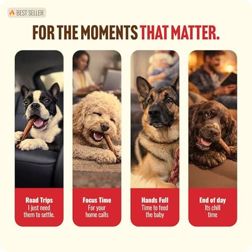 Natural Farm Odor Free Bully Sticks (2-3 Inch, 1 Pound) for Small & Medium Dogs - 100% Beef Chews for Pups, Non-GMO, Grain-Free, Fully Digestible Long Lasting Dog Treats — view 4