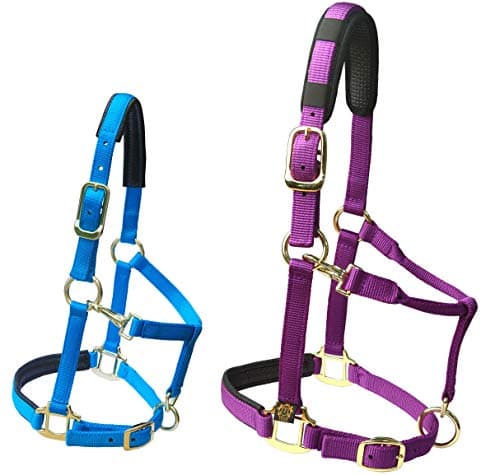 T TEKE Adjustable Horse Halter by Heavy Duty Soft Nylon, Padded with Anti-rubbing Waffle Neoprene on Both Crown & Nose — view 3