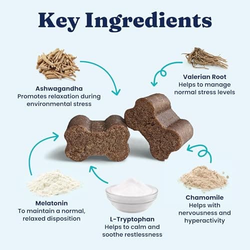 Solid Gold Calming Chews for Dogs - Dog Calming Chews w/Melatonin for Separation, Stress & Hyperactivity Relief - Supports Relaxation for Travel, Fireworks & Storms - All Ages & Sizes - Bacon 120ct — view 4