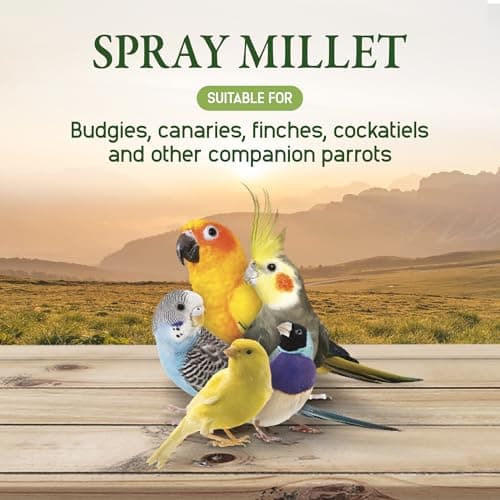 Hari Spray Millet - 500 g (17.6 oz) — view 4