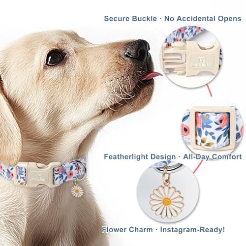 Maca Bates Blue Flower Dog Collar for Small Girl Boy Dogs with Daisy Charm,Blue Floral Pattern,Soft Adjustable Durable Cute Soft Comfortable Gift Collars for Male Female Puppy with Safety Buckle — view 5
