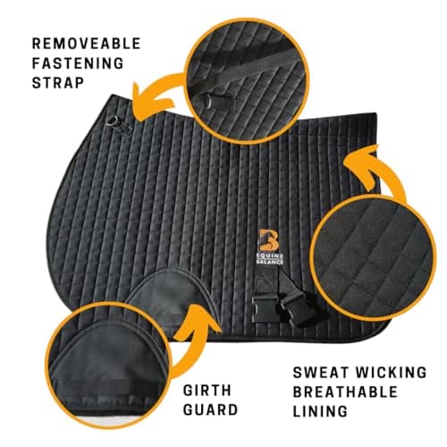 Equine Balance Band System (Western) — view 3