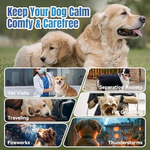 ColEaze Dog Calming Chews- Sleep Aid Melatonin for Dogs Anxiety Stress Relief Noise, Thunder, Barking, Separation, Calming Chews for Dogs Small Medium Large & All Breeds, 200ct — view 3