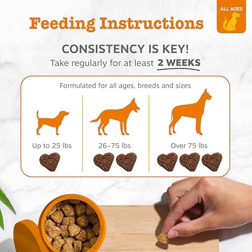 Zesty Paws Allergy Immune Bites - Dog Allergy Chews, Dog Probiotics for Itchy Skin and Ears, Lamb, 90ct — view 3