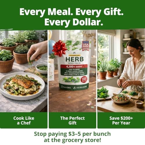 HOME GROWN Herb Seeds for Planting 15-Pack Massive Seed Count 4,300+ Seeds Non-GMO Heirloom | Extra Large | Culinary Herb Kit, Indoor Outdoor & Hydroponic | Grow Your Own Herbs | Gardening Gift — view 5