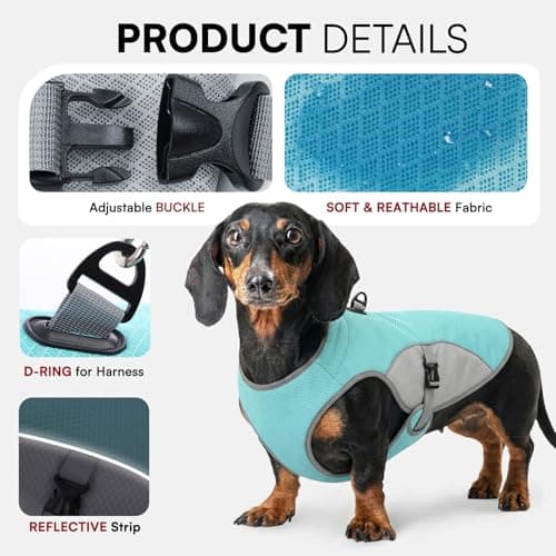 Preferhouse Dog Cooler Jacket for Extra Large Dogs, Dog Mesh Cooling Vest with Reflective Stripe and D Ring, Pet Cooling Jacket for Beach, Hiking, Walking, Blue-XL