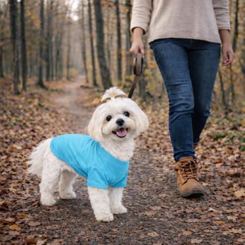 Lovelonglong Pet Clothing Dog Costumes Basic Blank T-Shirt Tee Shirts for Medium Dogs Turquoise XXL — view 6