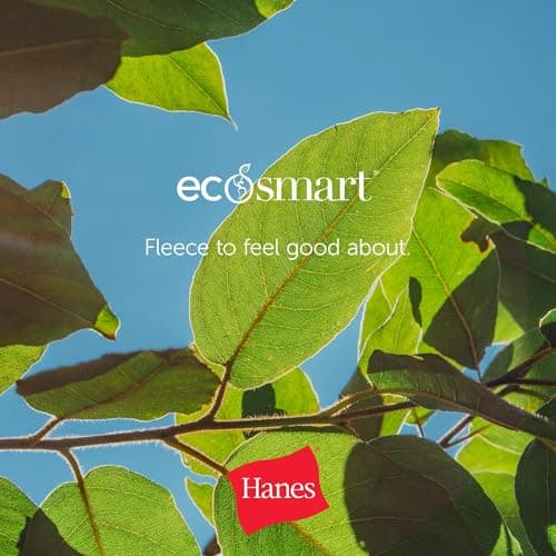Hanes Men's Pullover EcoSmart Hooded Sweatshirt, Black, Large — view 7